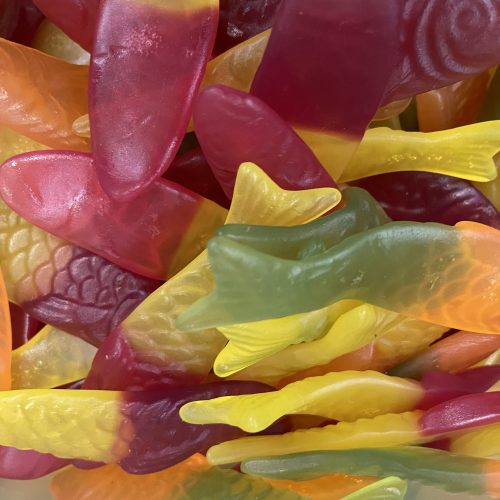Vissen Gum