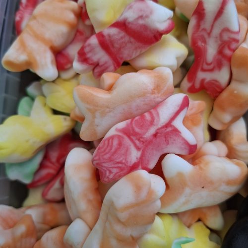 Vissen Jelly